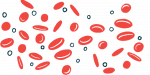 This illustration shows dozens of red blood cells grouped together.