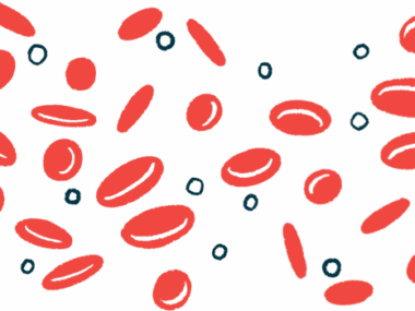 Dozens of red blood cells are shown grouped together.