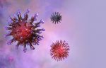 COVID-19 | Cold Agglutinin Disease News | CAD and warm AIHA | image of SARS-CoV-2 virus
