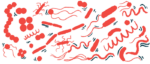 Different types of bacteria are shown in an illustration.