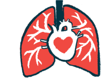 The heart and lungs are shown with a stylized heart in this illustration.
