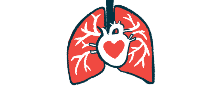 The heart and lungs are shown with a stylized heart in this illustration.