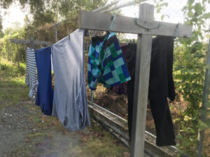 Several clotheslines are strung up in a lush yard. A handful of various clothing items are hung up to dry in the sun. 