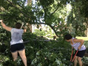 Two people work to cut up and remove a downed tree after the previous night's storm. One is grabbing a branch, while the other is using a lopper.