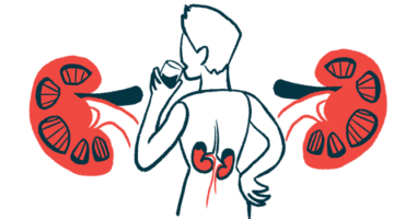 An illustration highlights the kidneys of a person pictured from behind while drinking from a glass.