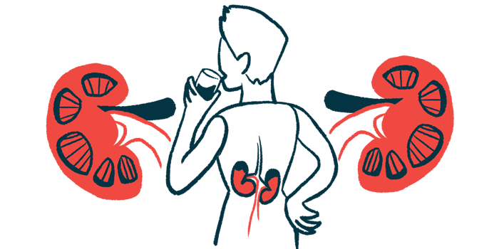 An illustration highlights the kidneys of a person pictured from behind while drinking from a glass.