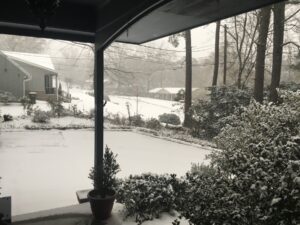 The view from the front porch of a home during a snowstorm. The sky is gray and overcast, snow is blowing sideways, and the driveway, bushes, and front yard are covered in snow. 