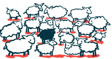 One black sheep is standing among a crowd of white sheep.
