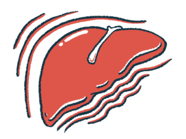 A human liver is shown close up.